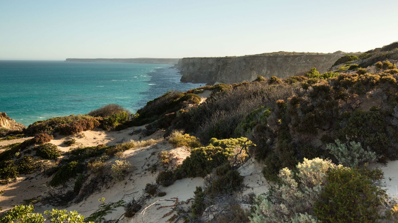 Great Australia Bight