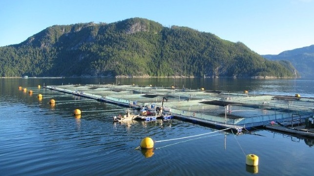 salmon farm