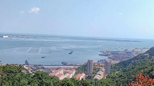 A fishing harbor and shipyard in Rongsheng, Shandong (TSVC1190 / CC BY SA 4.0)