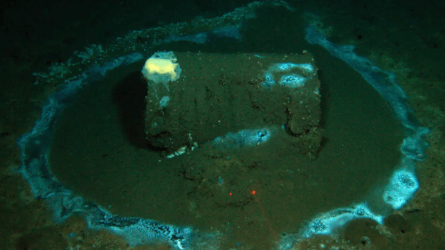 Barrel of ddt on the seafloor