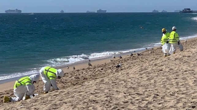 MSC y Costamare llegan a un acuerdo con las aseguradoras mientras el oleoducto SoCal reanuda sus operaciones 1 MSC resuelve reclamaciones por daños en oleoductos