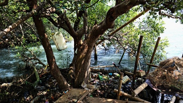 plastic waste