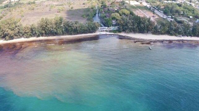 marine department