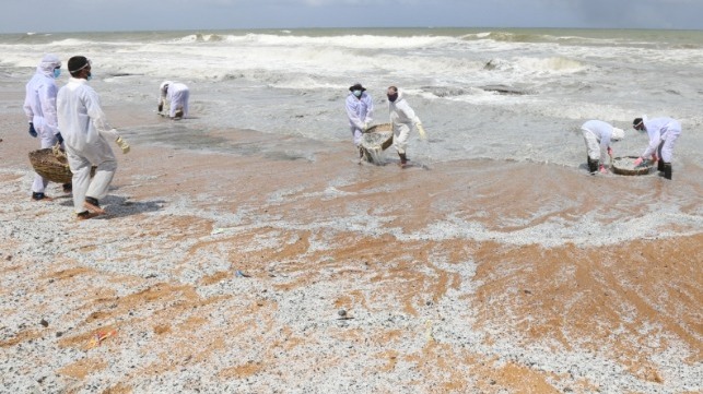Thick drifts of nurdles - some partially burned - wash ashore in Sri Lanka after the fire aboard the XPress Pearl (Sri Lanka Ministry of Defense)