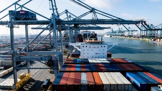 Antwerp reports rebound in container volumes and transshipments