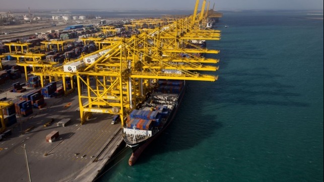 DP World reports volume declines due to COVID-19 as it continues acquisitions