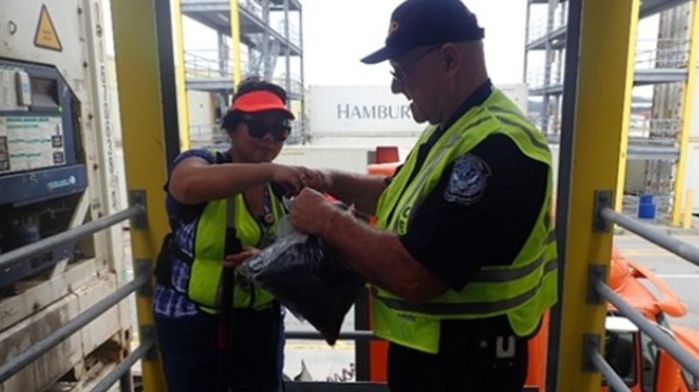 researchers discover invasive seeds on grilles of refrigerated containers