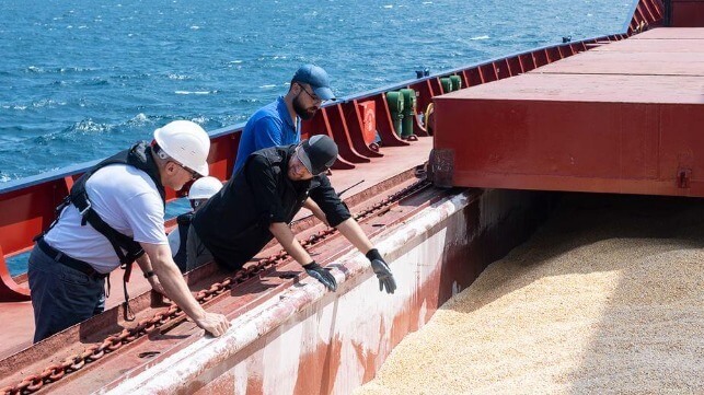 UN inspection team for Black Sea Grain Initiative