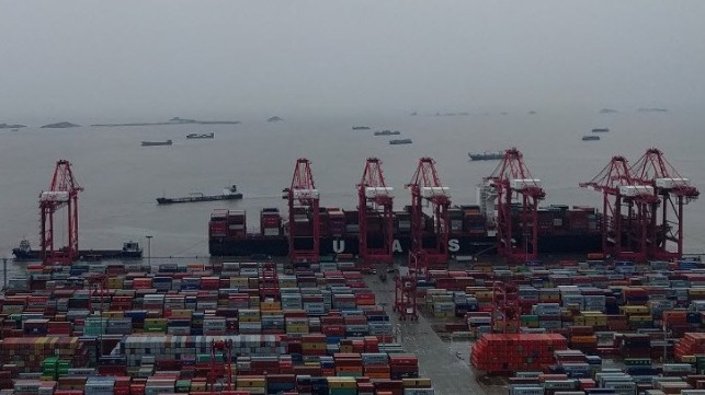 container carrier schedule reliability