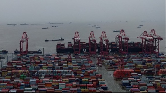 improvement in container availability and price in China