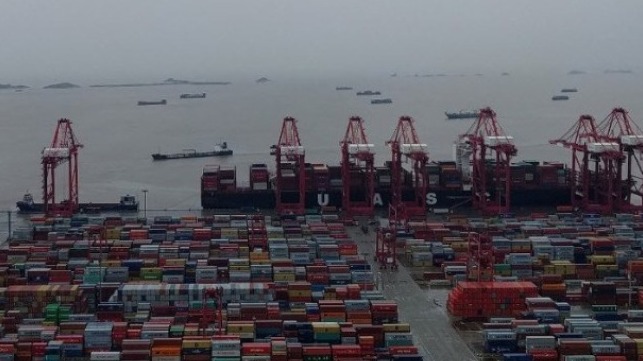 record container volume at Shanghai