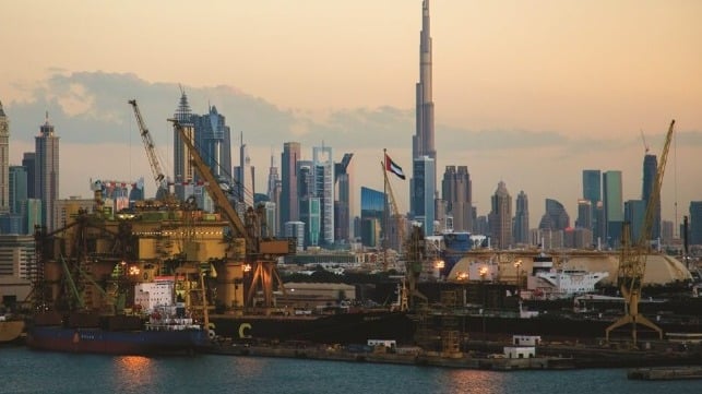 Drydocks World (DP World file image)