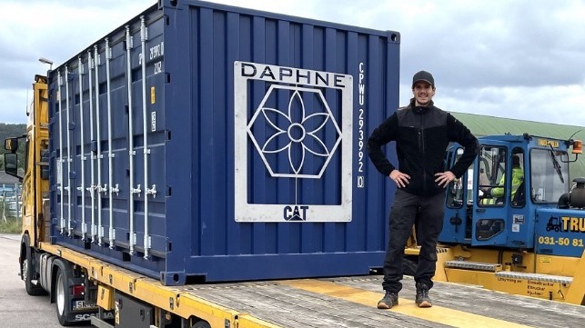 daphne