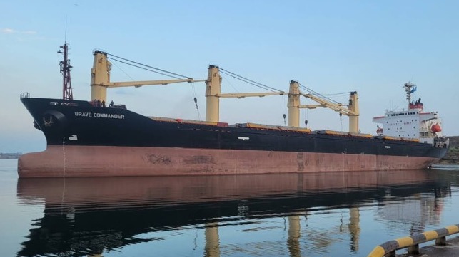 UN charters bulker to carry wheat from Ukraine