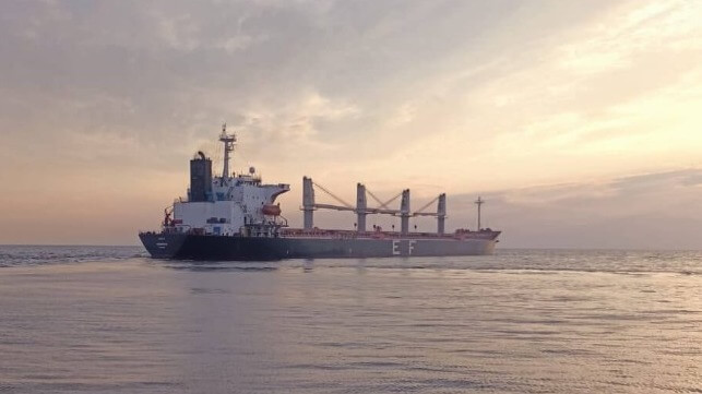 bulker at sea