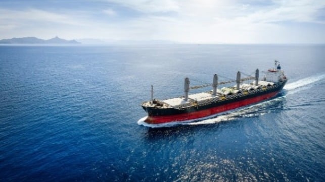 bulker at sea