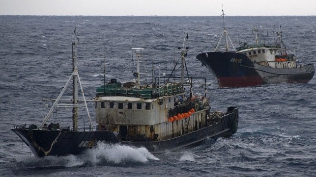 Activists concerned of Chinese fishing