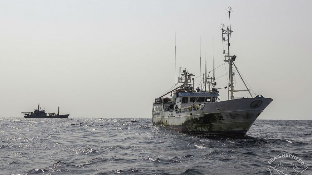 fishing boat