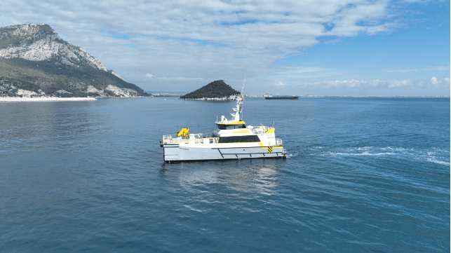 Damen Shipyards Group