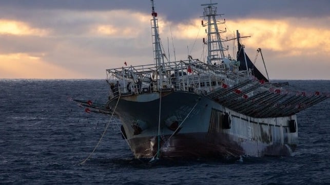 A Chinese squid jigger off the Galapagos Islands (Ben Blankenship / Outlaw Ocean Project)