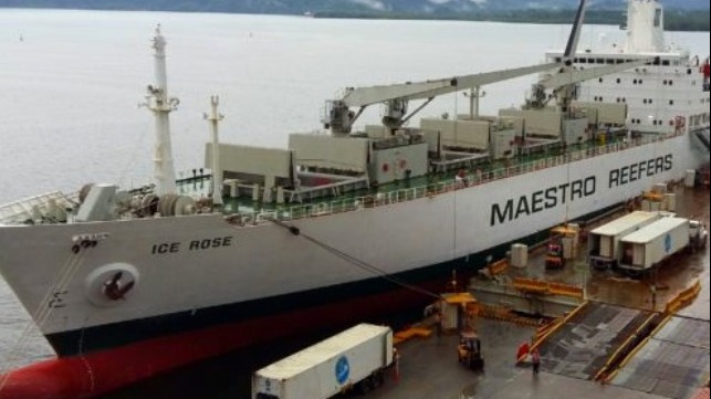 reefer and Russian frigate collide off Denmark