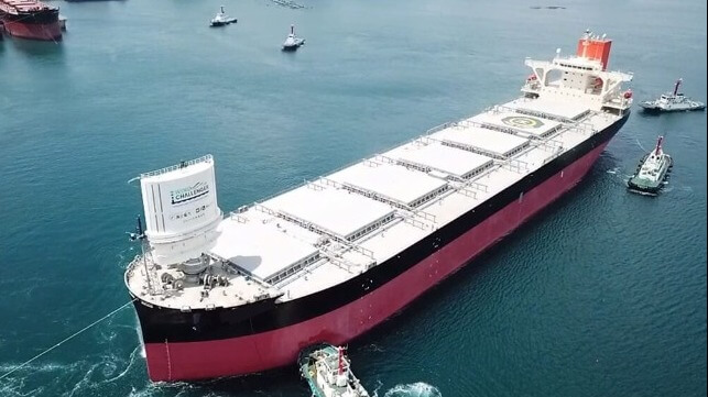 rigid wind sail on large bulk carrier 