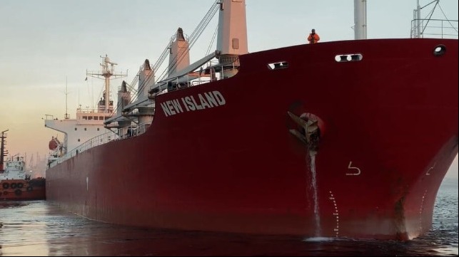 Ukraine gain exports