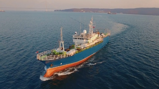 Fishing vessel under way in a bay