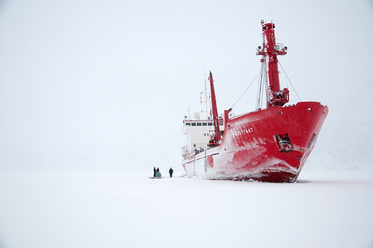 Arctic line незамерзайка