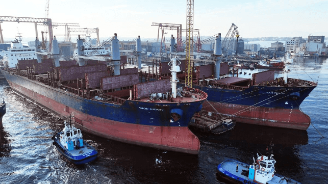 Damen Shipyards Group