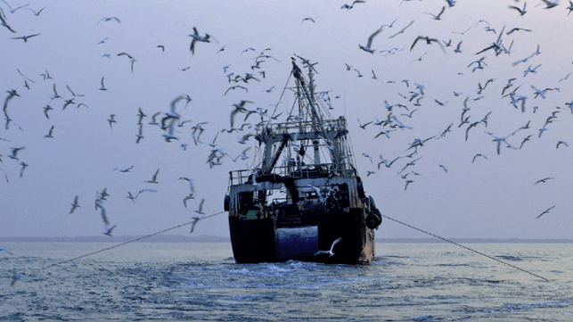 EJF trawler