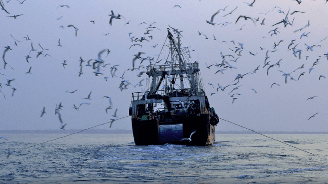 Trawler