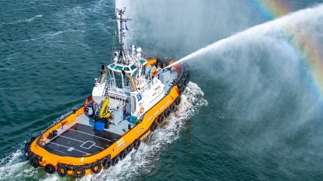 Damen Shipyards Group