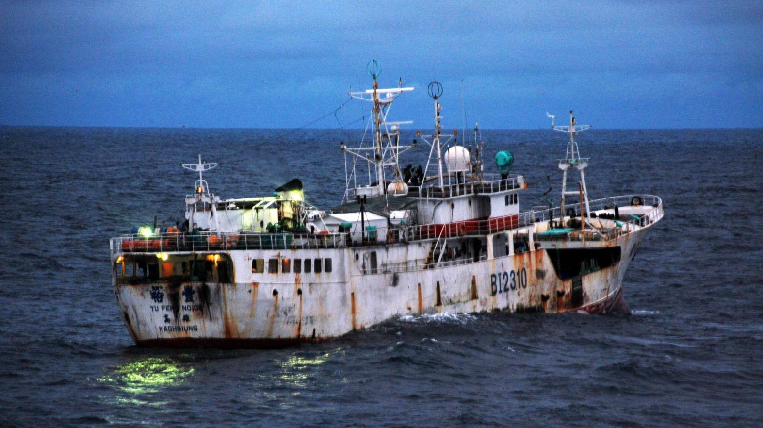 Illegal Fishing: Bodies Found in Freezer