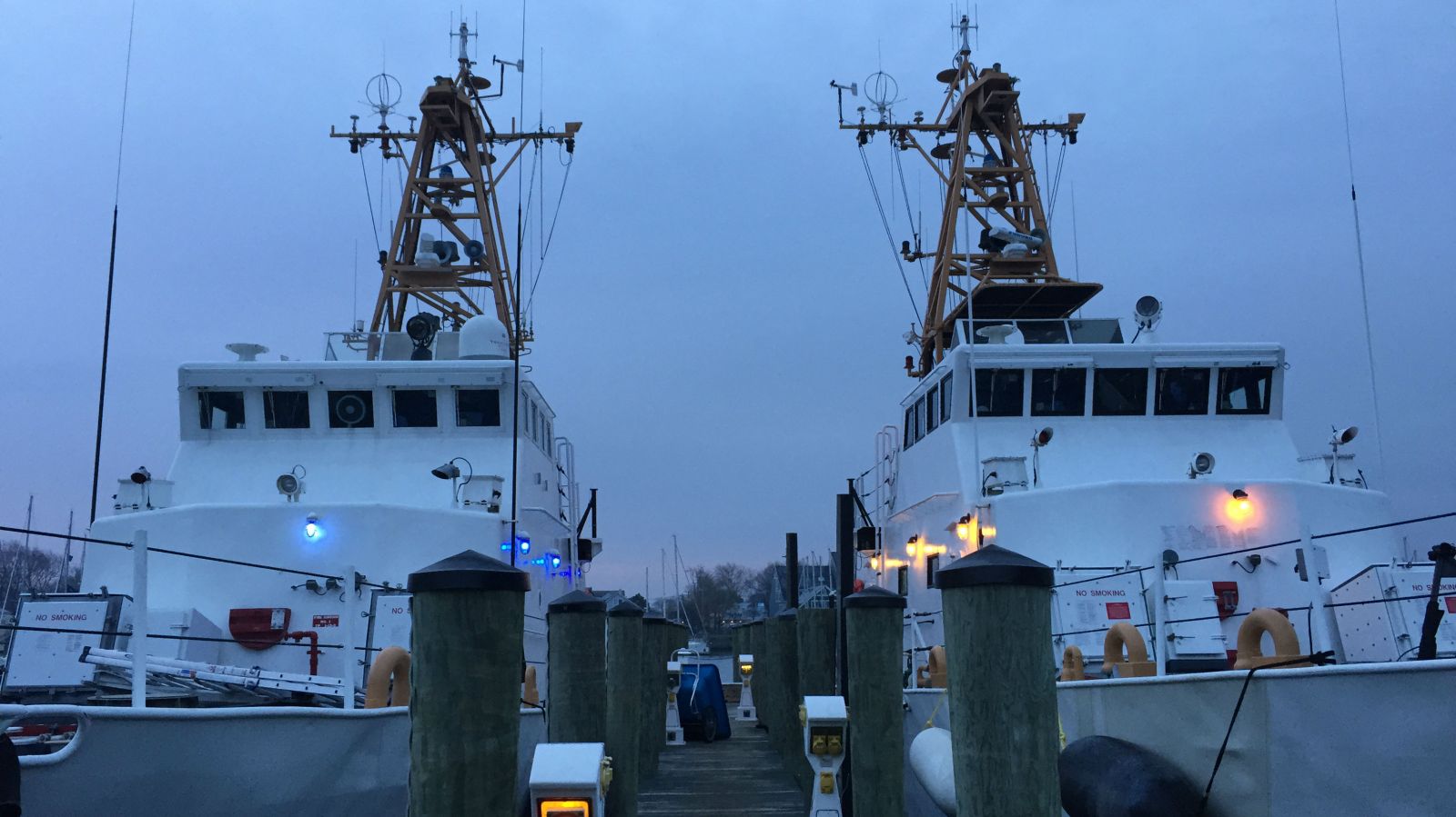 Sea Shepherd boats