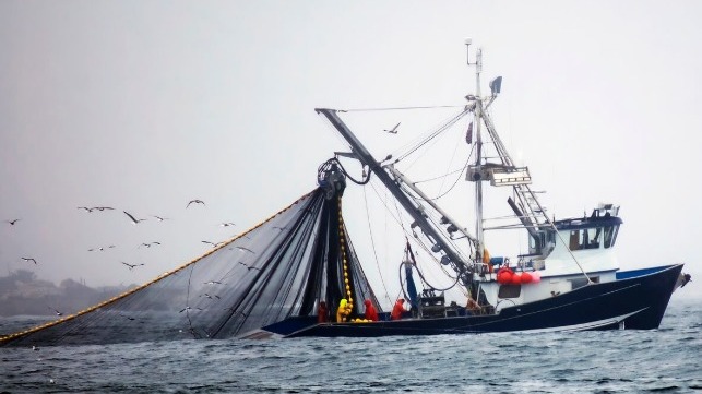 Chinese fishing boats