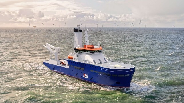 Damen Shipyards Group