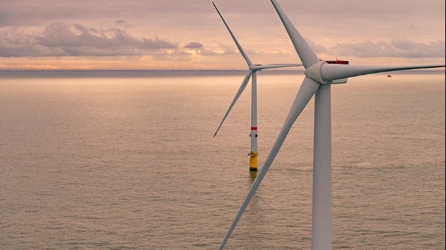 Japanese business offshore wind market growth