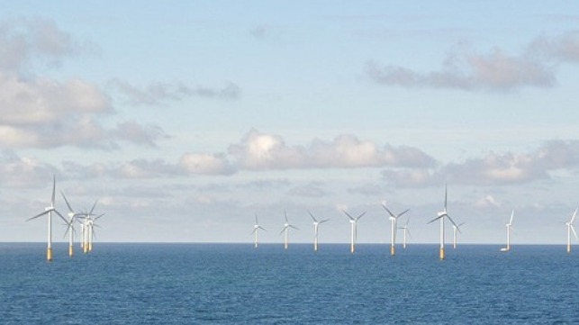 Netherlands to double offshore wind power generation 