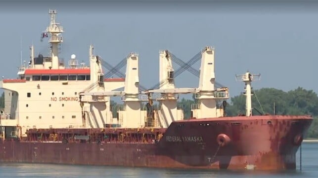 grounded bulker