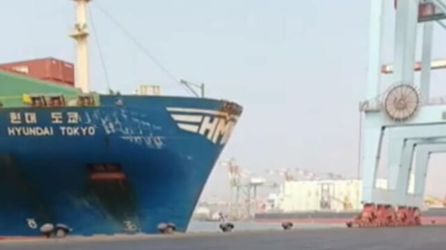 containership hits dock