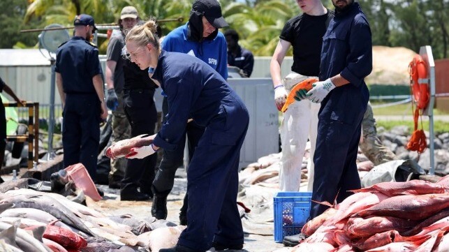 Illegally caught fish on the pier at the naval station at Diego Garcia