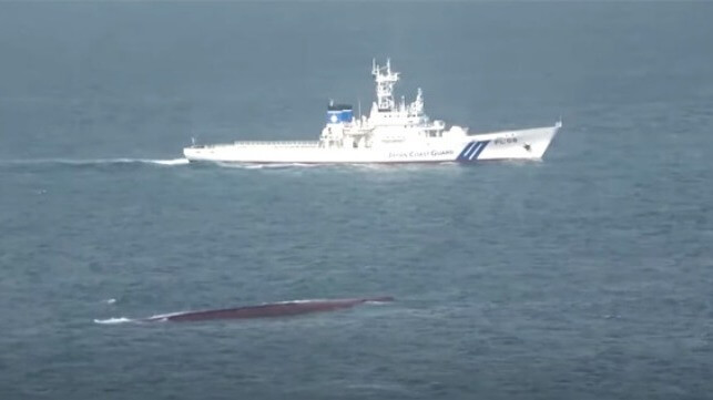 Two Missing as Japanese Cargo Ship Capsizes in Collision with Containership capsized cargo ship Japan
