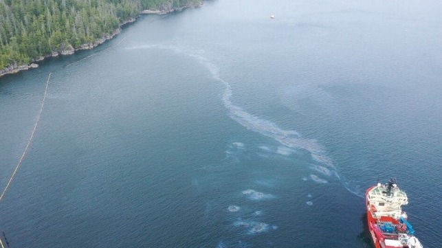 Slicks on the surface of the Inside Passage at Bligh Island