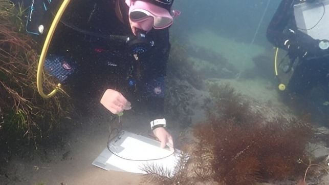 Wreck site survey ANMM