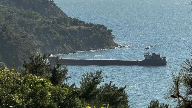 cargo ship aground