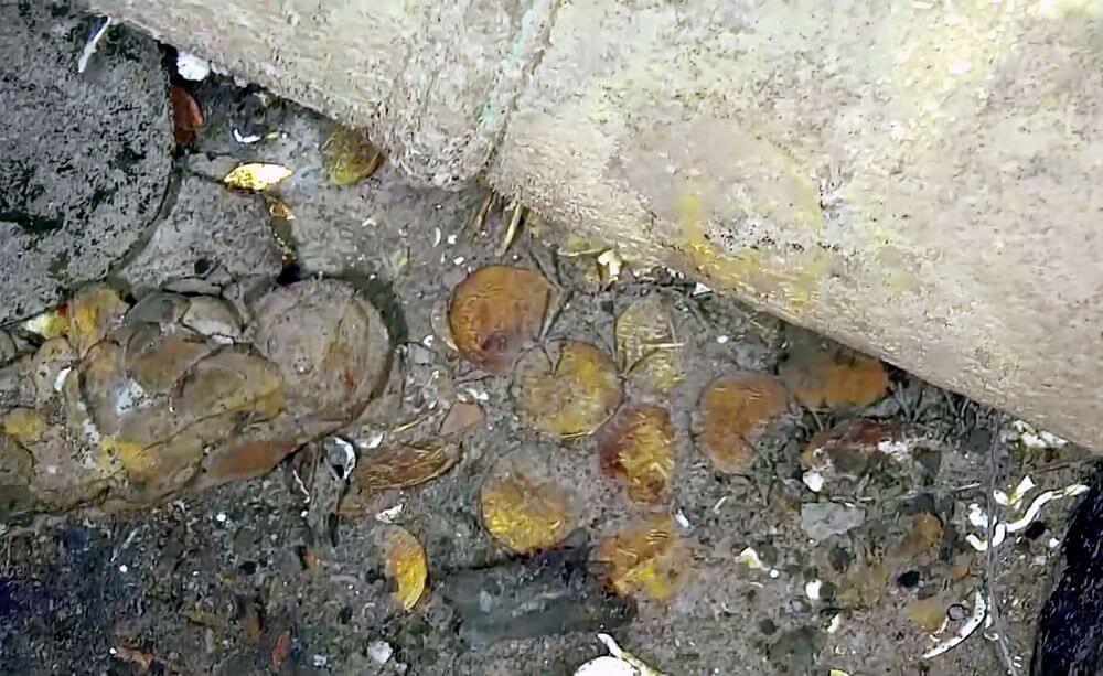 Colombia Speeds Up Plan to Raise "Holy Grail" Wreck's $20B Treasure