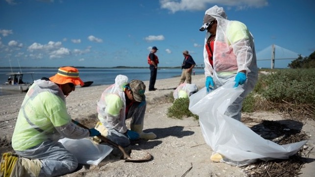 Responders with the St. Simons Sound Incident Unified Command shovel and bag oiled debris as part of a response to environmental impacts on Quarantine Beach, Brunswick, Ga., Sept. 23, 2019. 