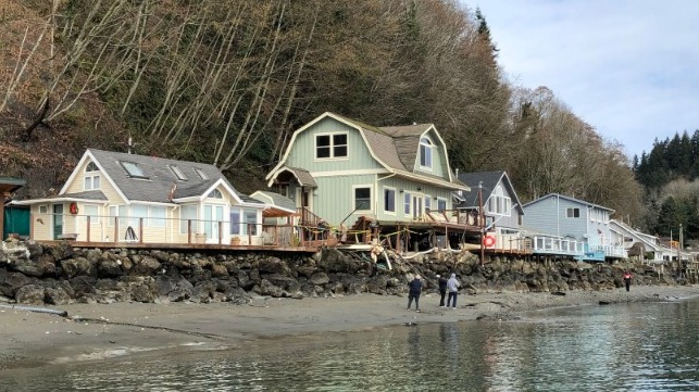 island chief