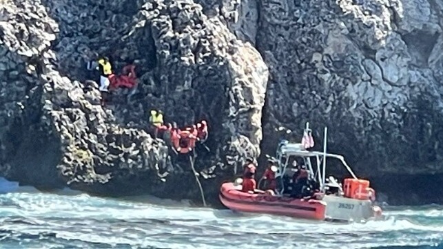 monito rescue